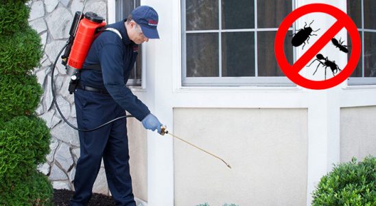 İlkadım Hamam Böceği İlaçlama böcek ilaçlama ve haşere kontrolü — ilaclama-tr.com